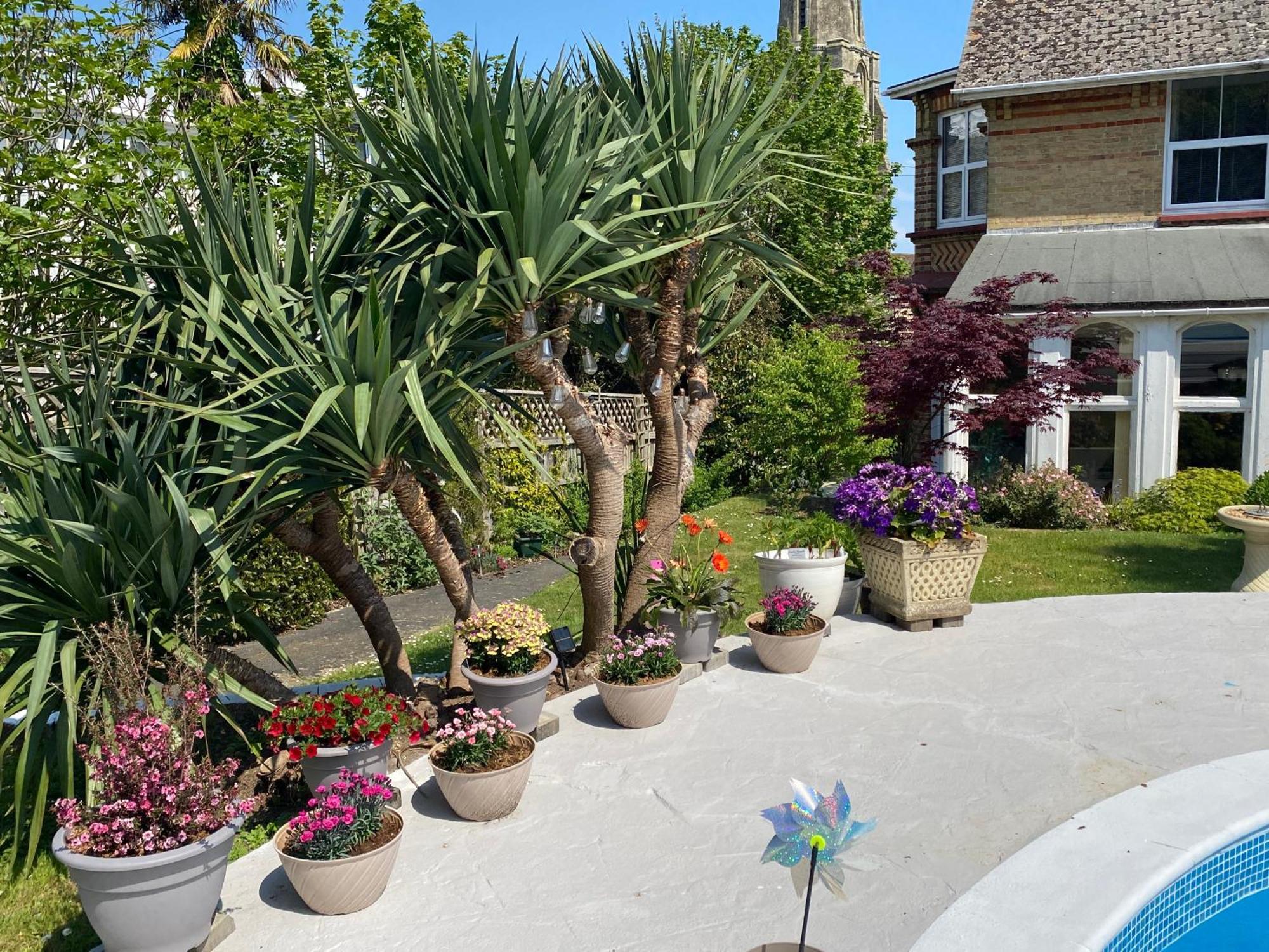 The Belmont Hotel Shanklin Kültér fotó